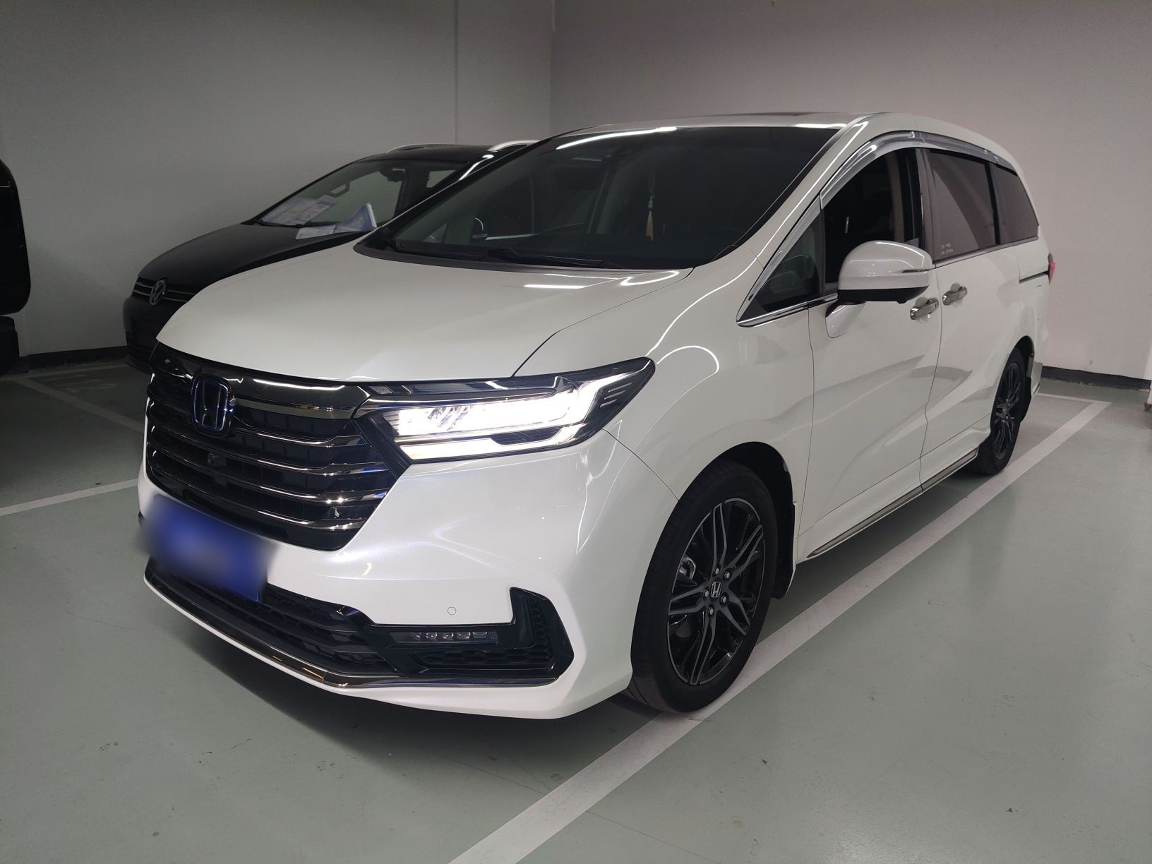 Parte inferior delantera