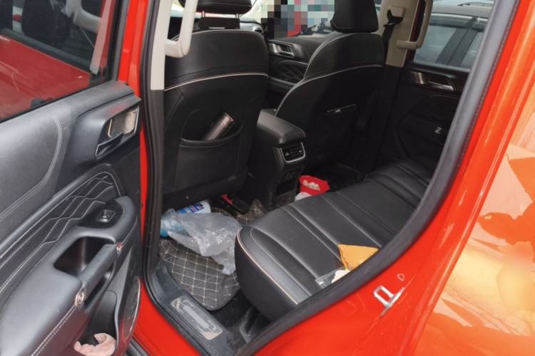 Used Tank 300 2024 2.0T Conqueror
