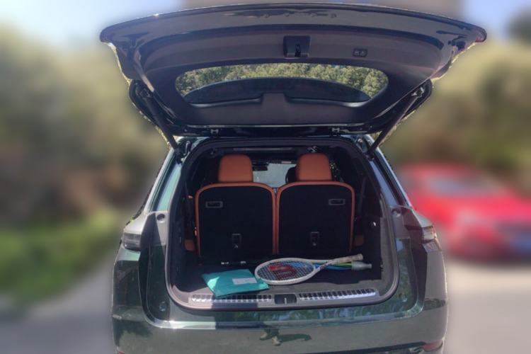 Used Li Auto L9 2022 Max model
