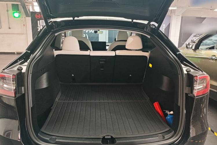 Used Tesla Model Y 2021 Standard Range Rear-Wheel Drive Version
