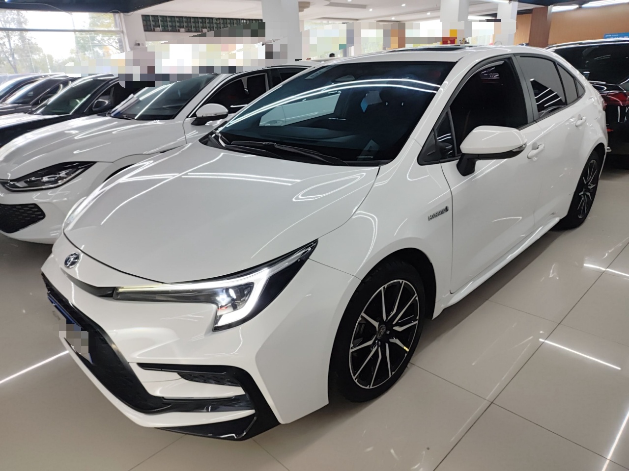 تحت مقدمة السيارة