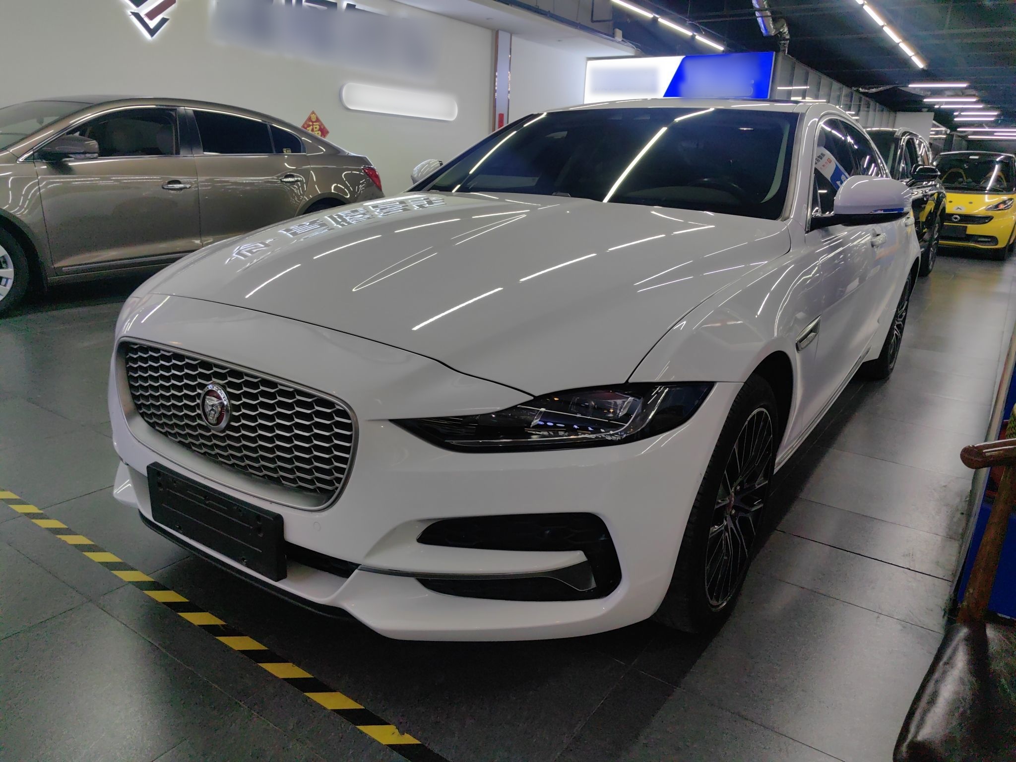 Parte inferior delantera