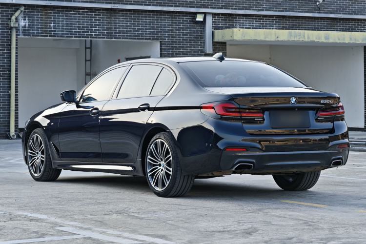 Used BMW 5 Series 2019 530Li Leading Model M Sport Package