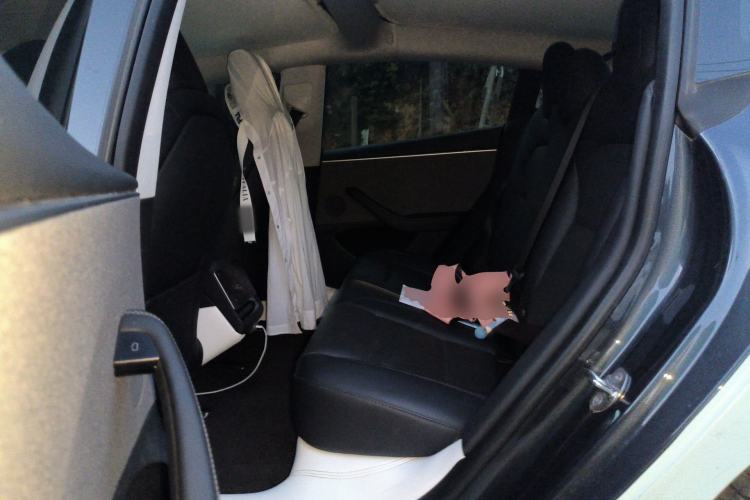 Used Tesla Model 3 2023 Rear-Wheel-Drive Version