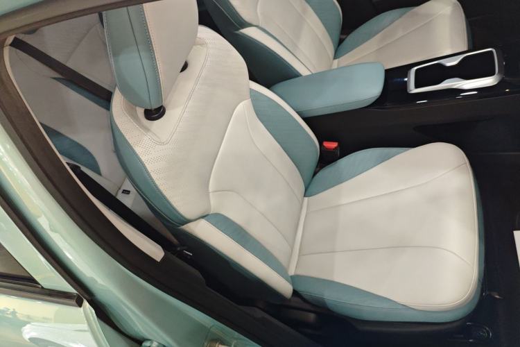 Used Geometry E Firefly 2024 401km Starlight