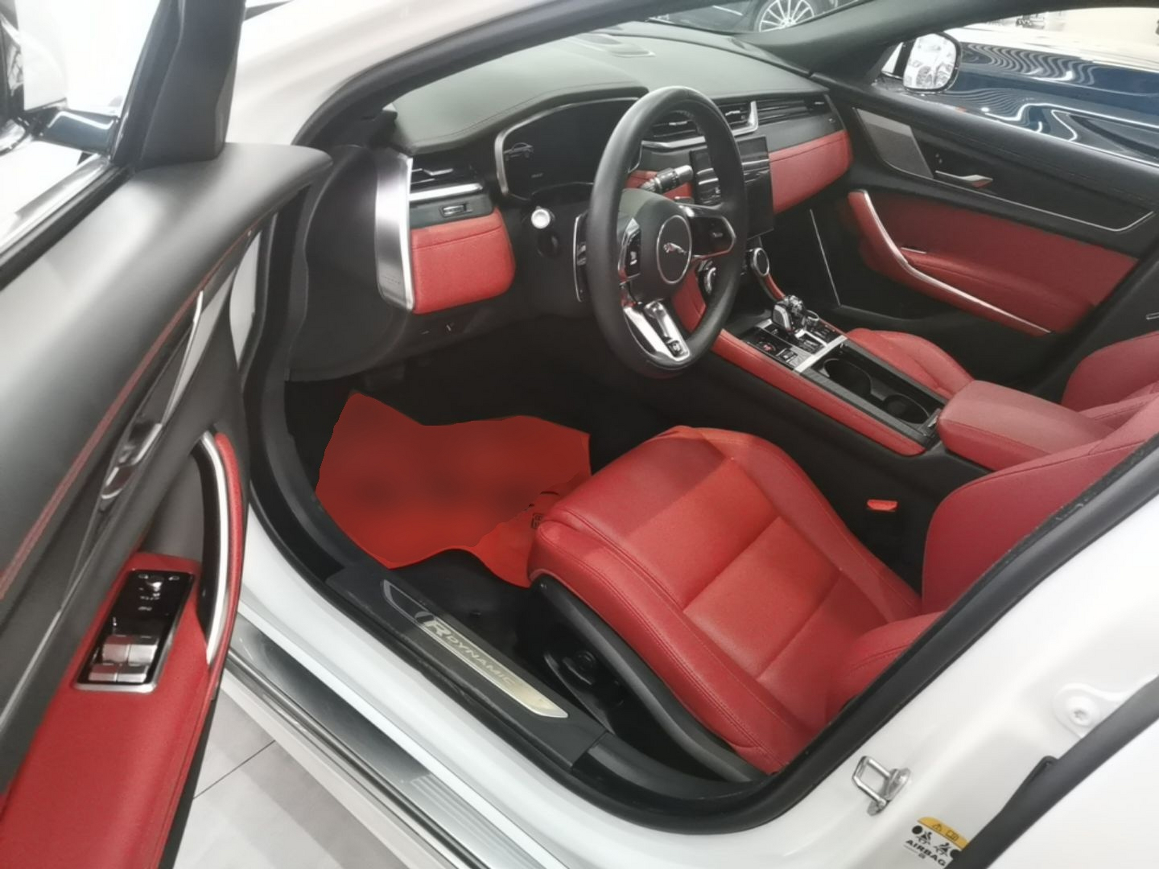 Interior delantero