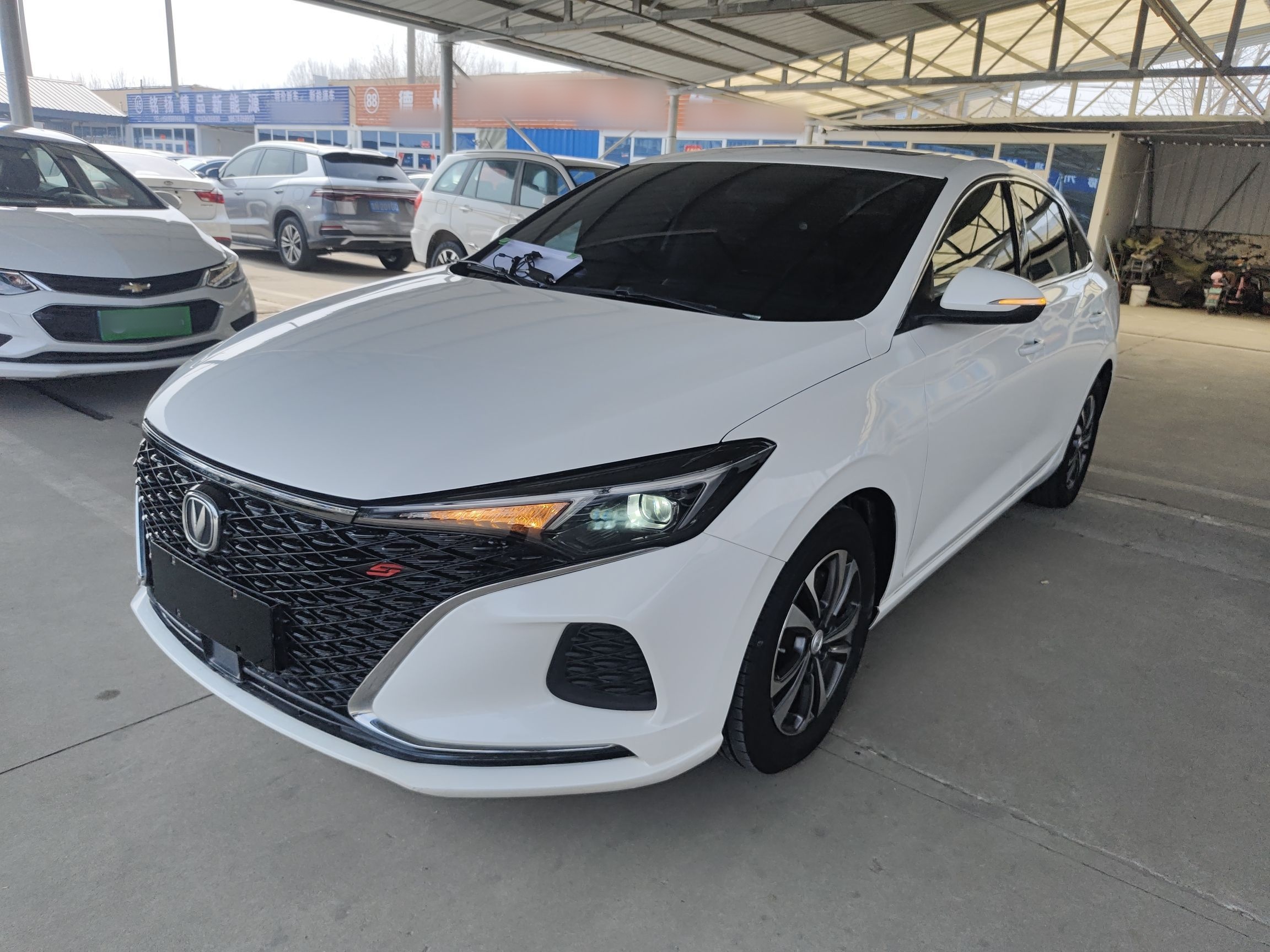 Parte inferior delantera