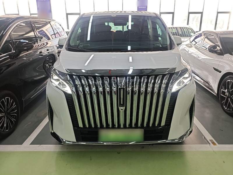 Used Wey Gaoshan 2023 Four-Wheel Drive Flagship Edition — 2