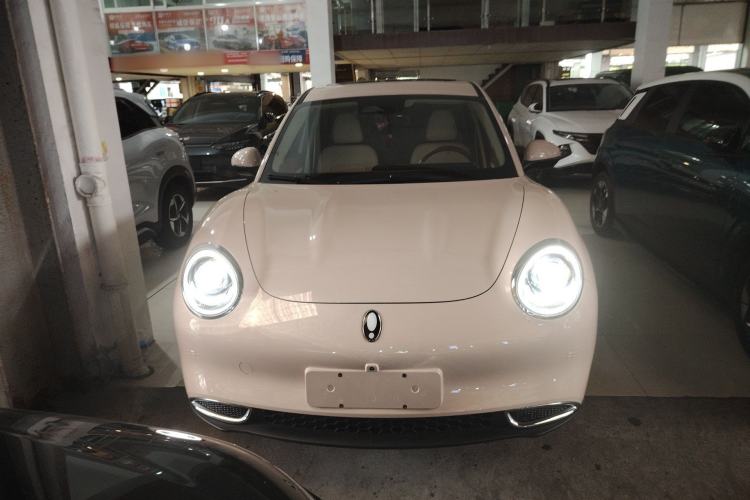 Used ORA Good Cat 2024 401 km Luxury Version Front