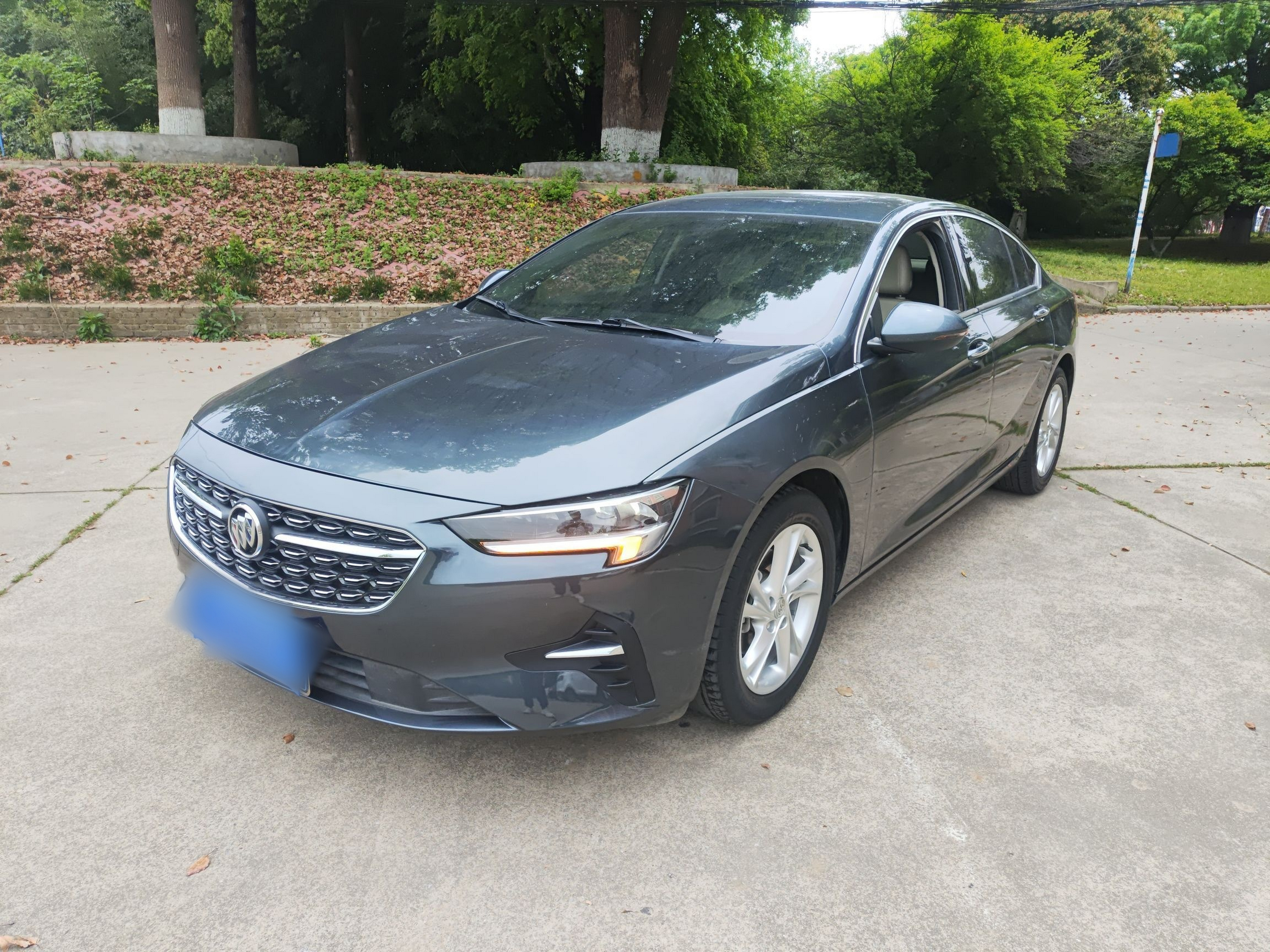 Parte inferior delantera