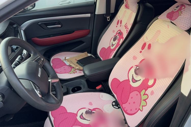 Used Haval H2s 2018 Blue Label 1.5T Dual-Clutch Fashion Edition Left Front Seat