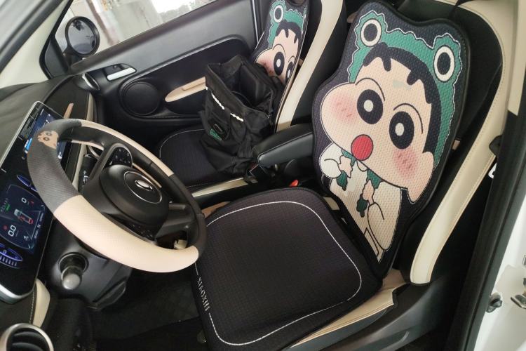 Used ORA Black Cat 2022 351 km Range Comfort Version Ternary Lithium Left Front Seat