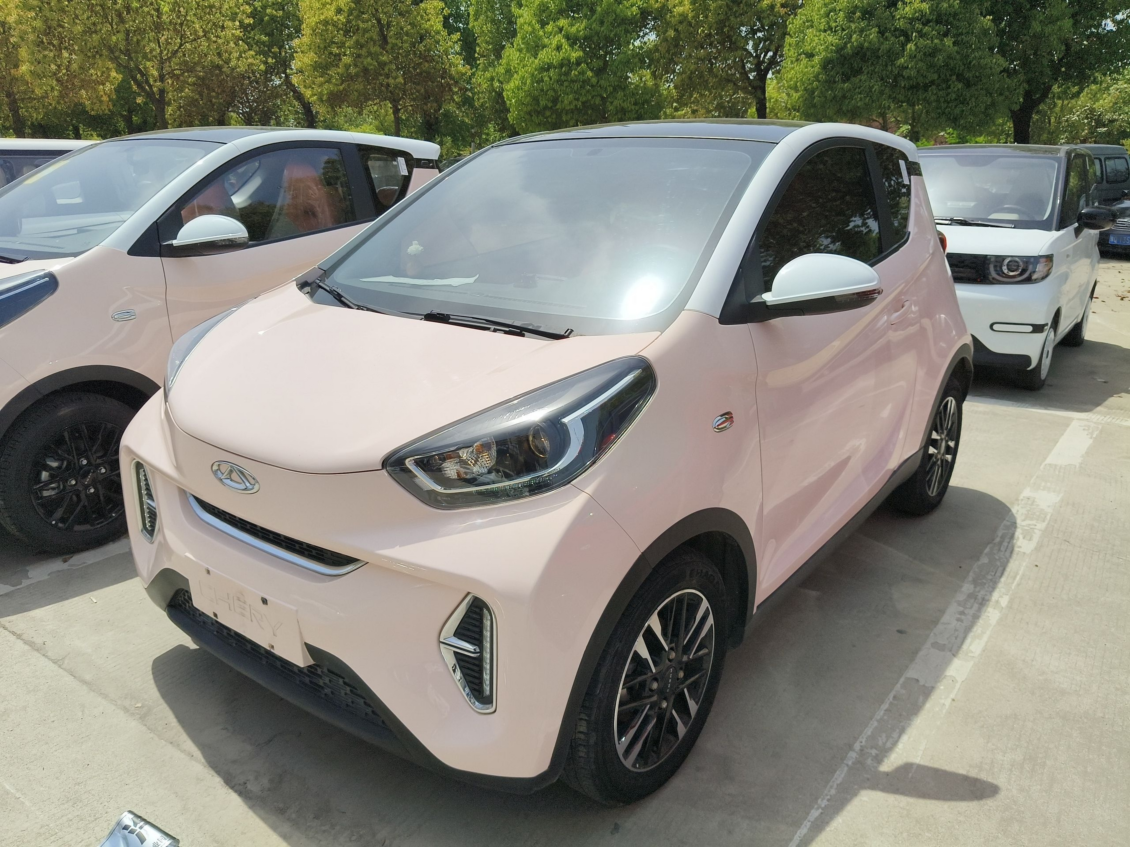 Parte inferior delantera