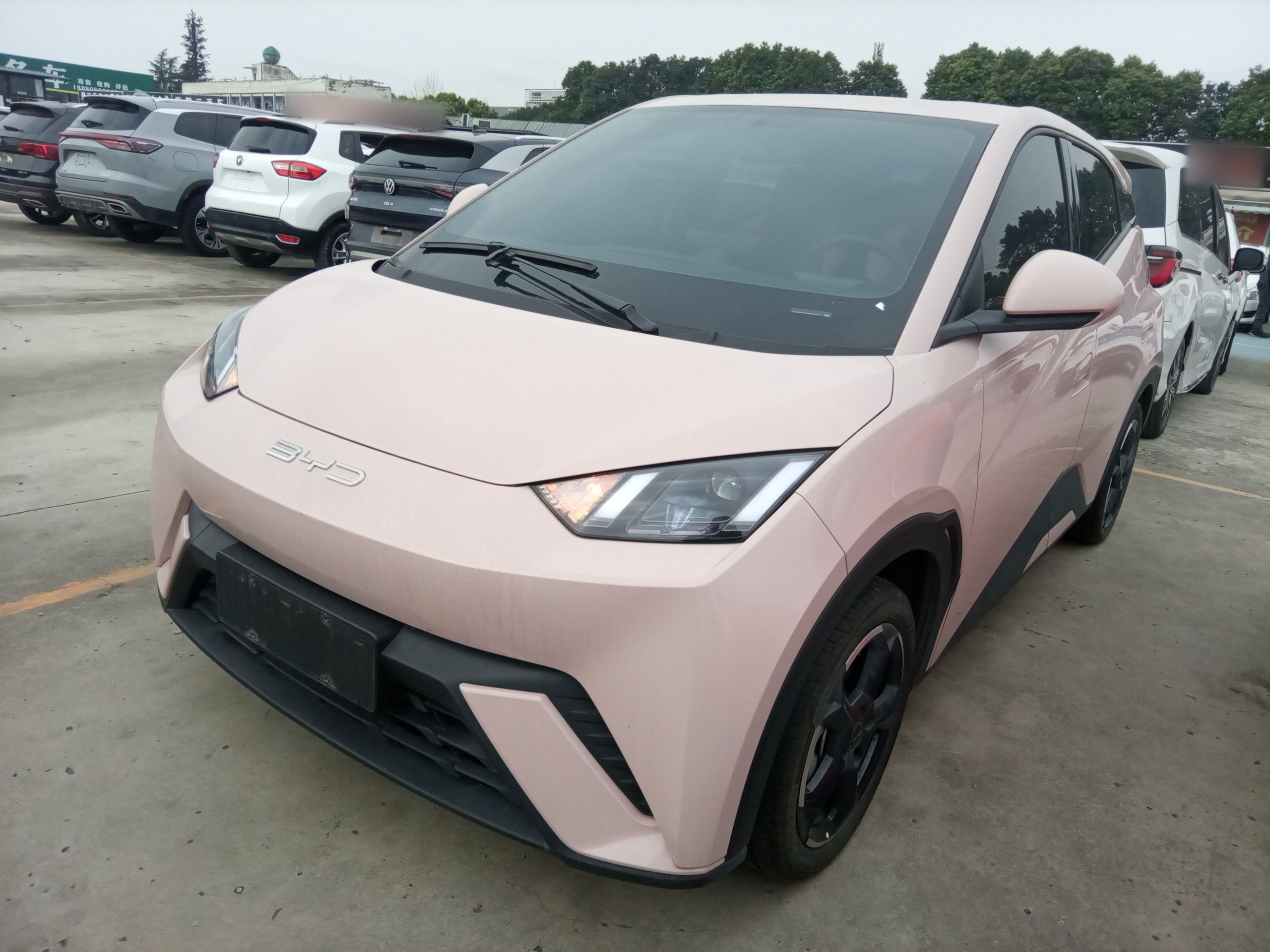 Parte inferior delantera