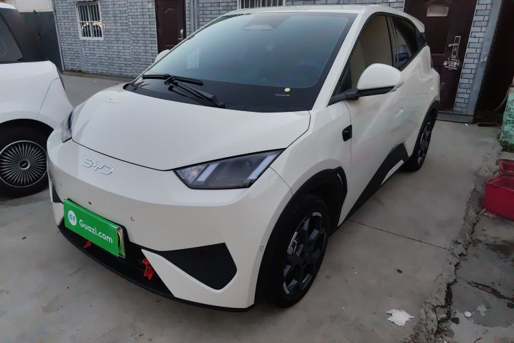 Used BYD Seagull 2025 Smart Drive Version 305 km Freedom Edition