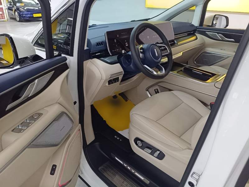 Used Wey Gaoshan 2023 Four-Wheel Drive Flagship Edition — 15