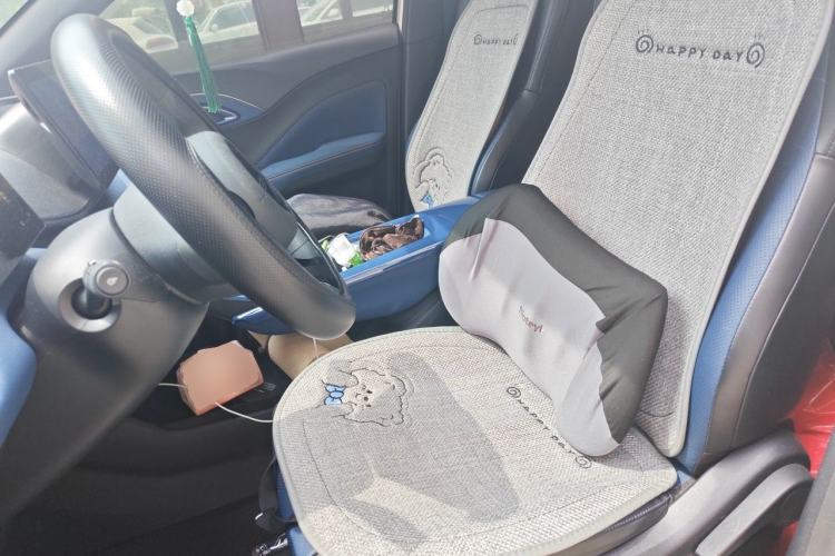 Used BYD Seagull 2023 Active Version Left Front Seat