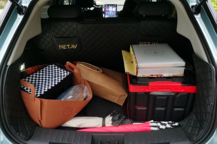 Used NETA V 2021 Long-Range Entertainment Edition Upgrade Model
