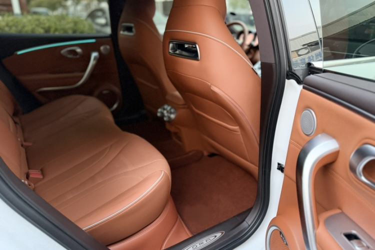 Used ORA Lightning Cat 2022 555 km Luxury Edition