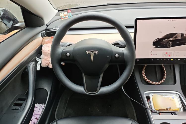 Used Tesla Model 3 2022 Rear-Wheel-Drive Version