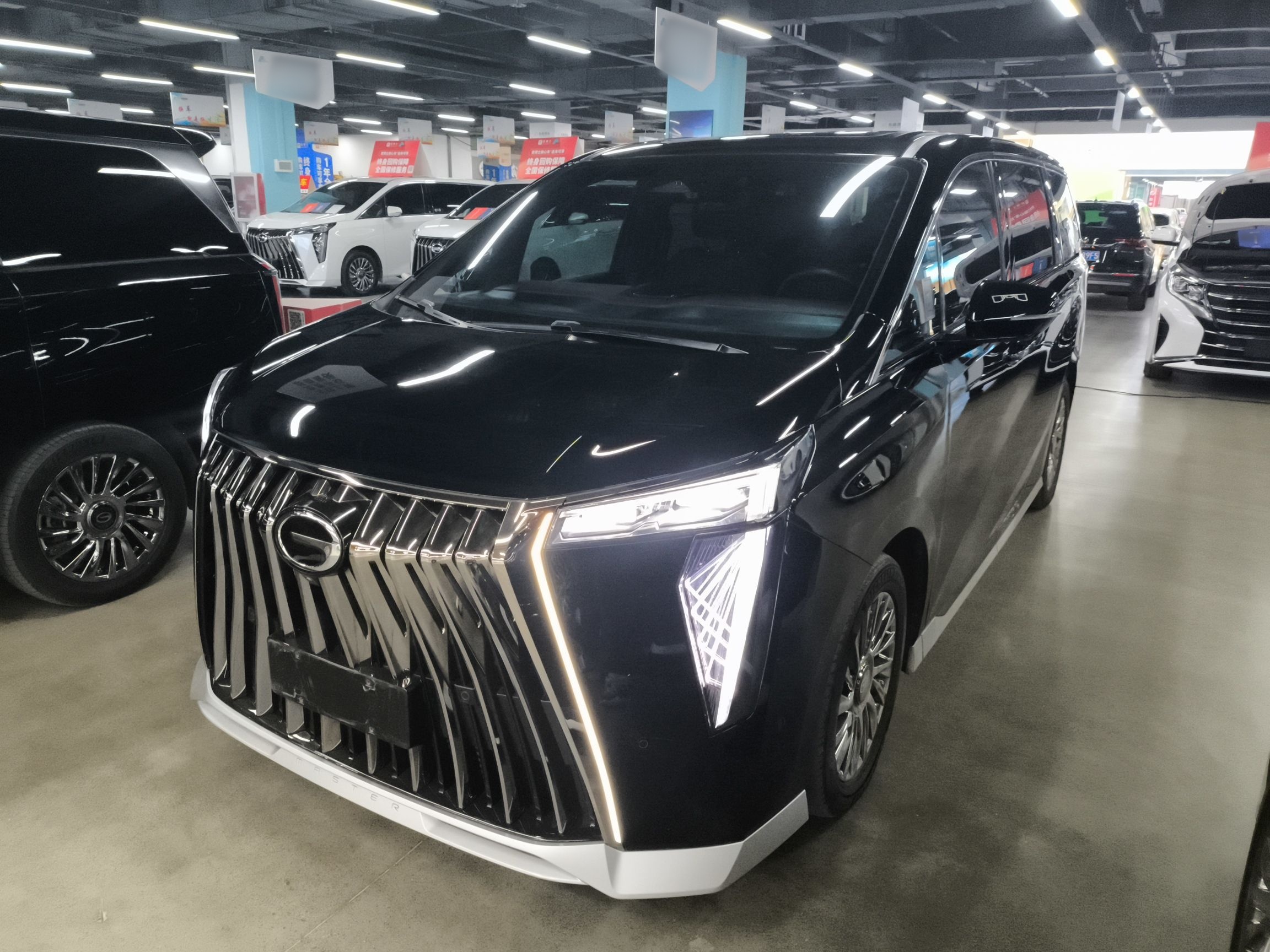 Parte inferior delantera