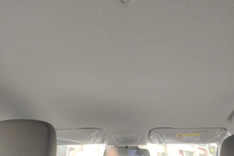 Used Baojun RS-3 2020 1.5L Manual Smart Comfort Edition Headliner