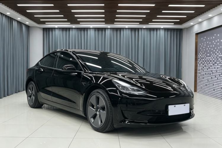 Used Tesla Model 3 2021 Standard Range Rear-Drive Upgraded Version Exterior 10