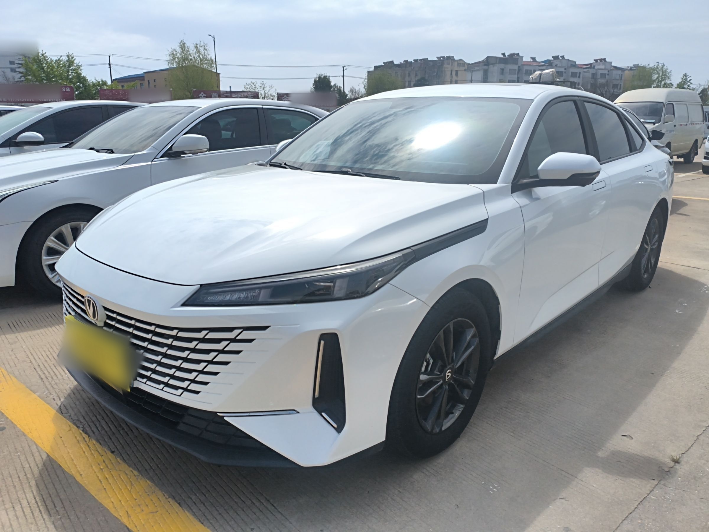 Parte inferior delantera