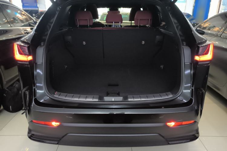 Used Lexus NX 2023 260 Front-Wheel Drive Chuan Yue Edition
