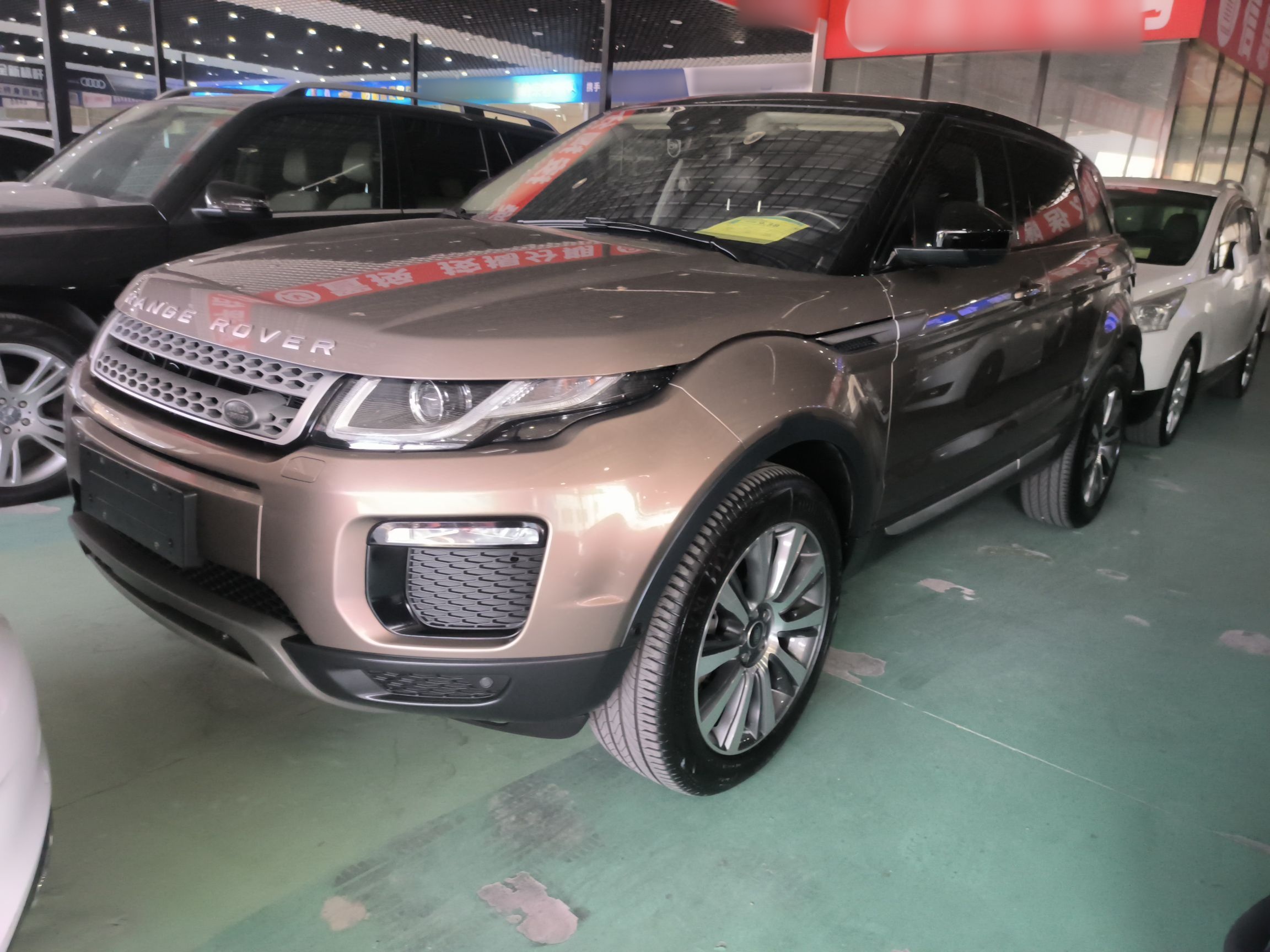 Parte inferior delantera