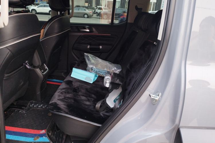 Used Tank 300 2021 Off-Road Edition 2.0T Challenger