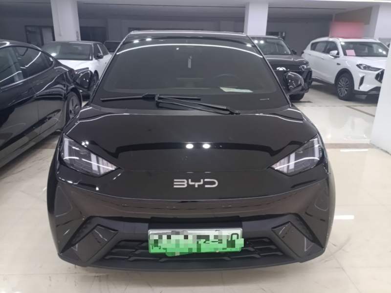 Used BYD Seagull 2024 Honor Edition 305km Freedom Version — 19