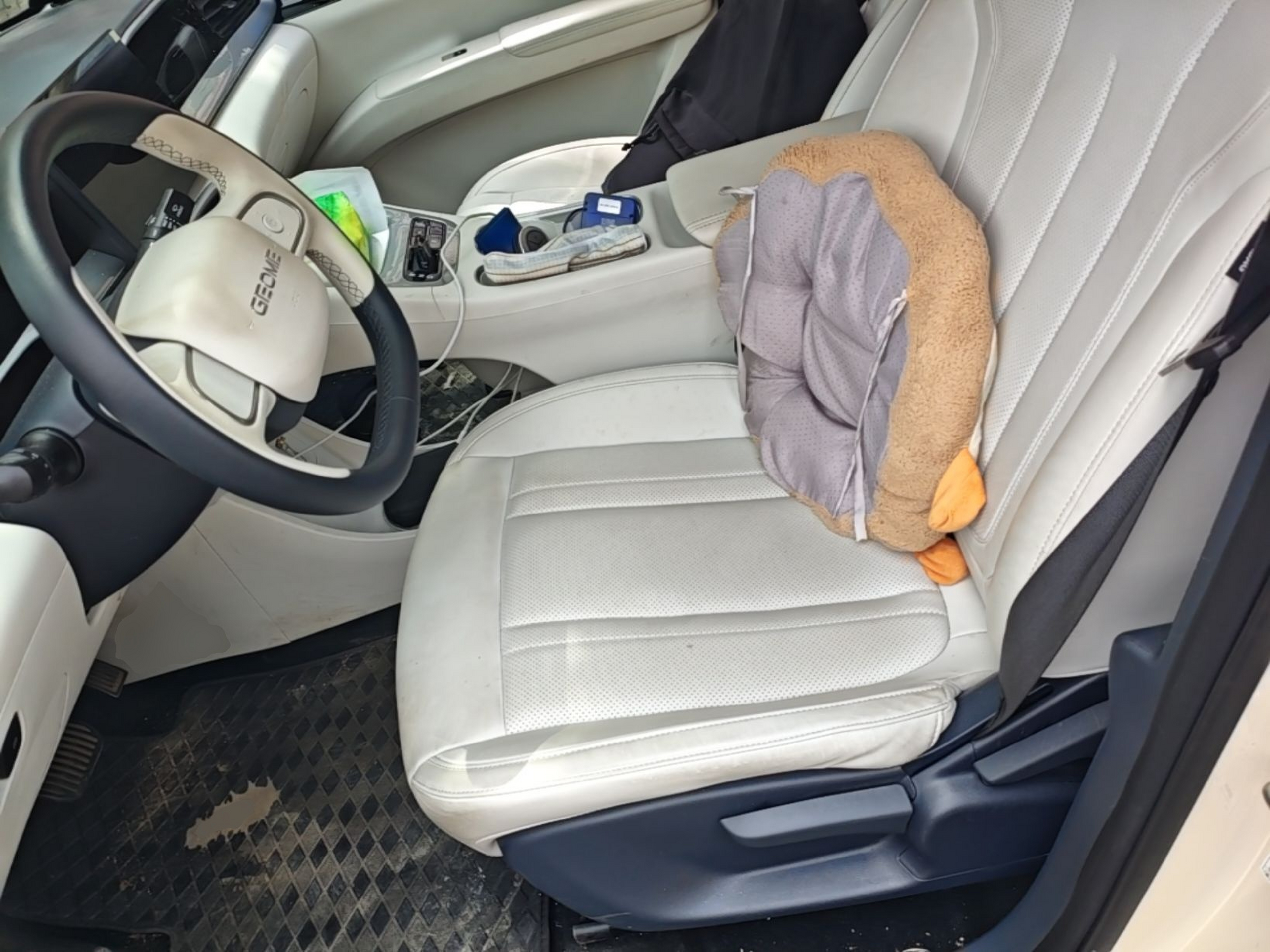 Interior delantero