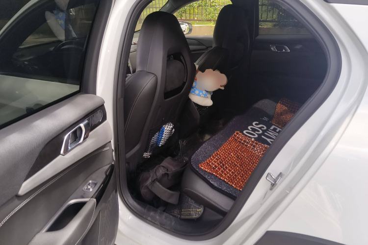 Used Lynk & Co 02 2020 1.5T DCT Two-Wheel Drive Pro Edition Left Rear Seat