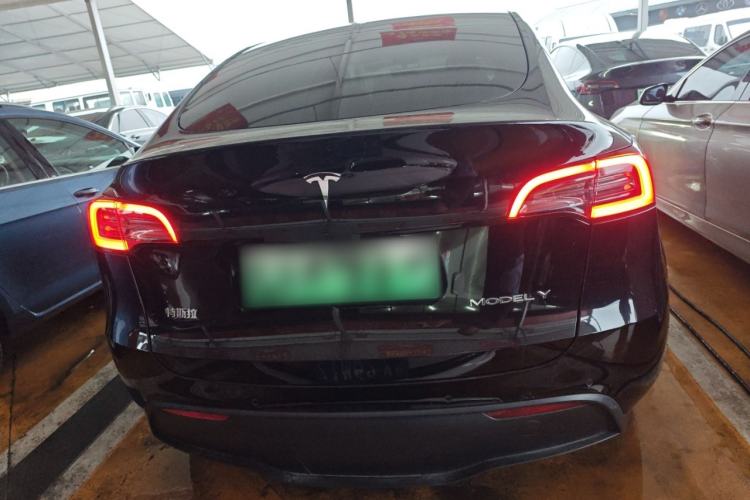 Used Tesla Model Y 2021 Standard Range Rear-Wheel Drive Version Rear