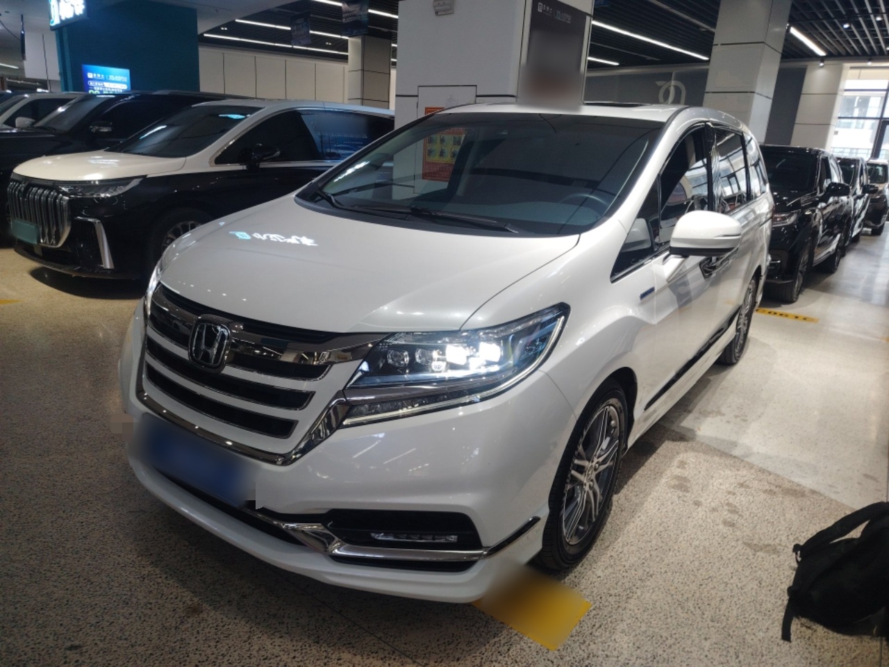 Parte inferior delantera