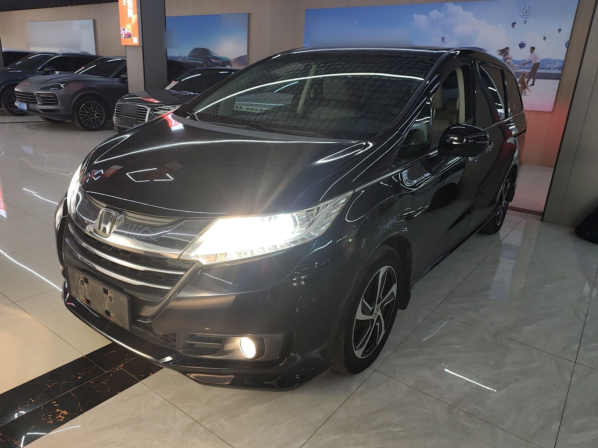 Parte inferior delantera