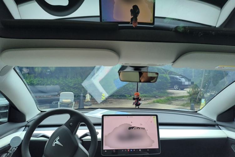 Used Tesla Model 3 2022 Rear-Wheel-Drive Version