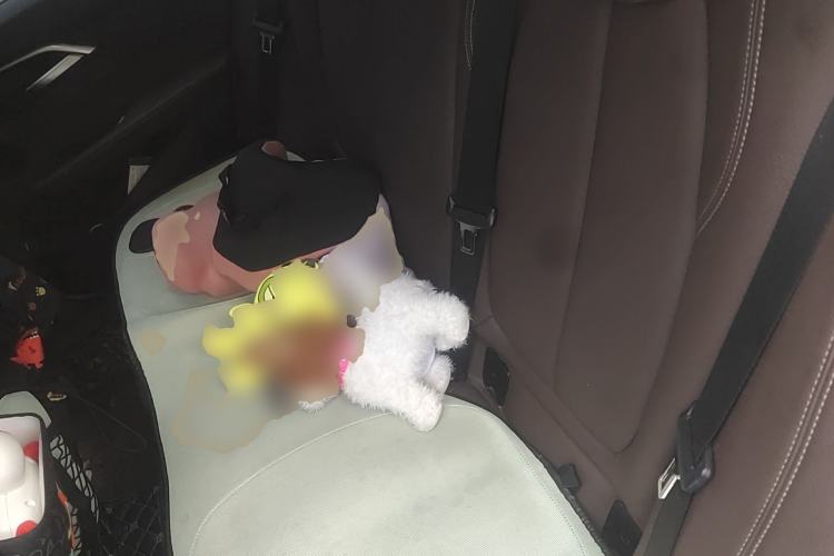 Used BMW 1 Series 2020 120i M Sport Package Left Rear Seat