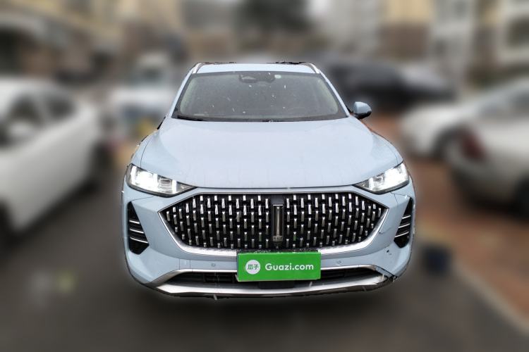 Used Wey Mocha 2021 2.0T Four-Wheel Drive Premium Edition
