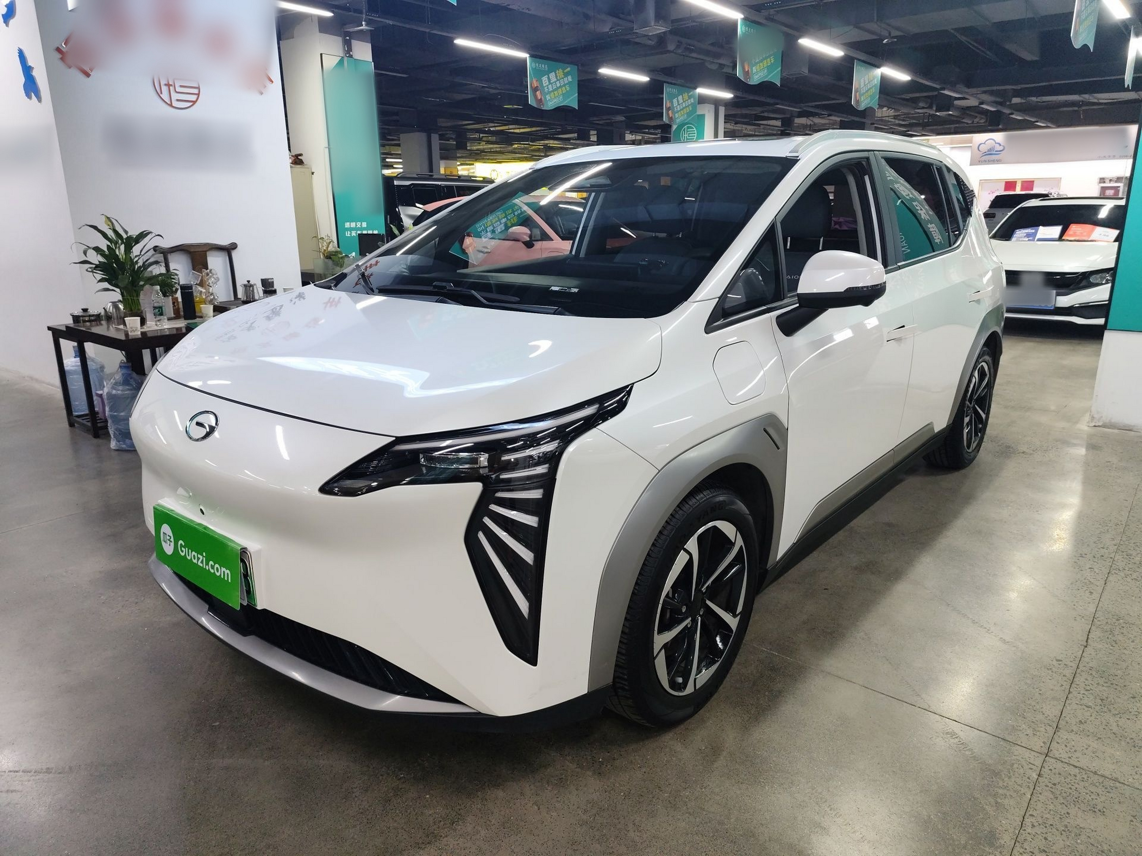 Parte inferior delantera