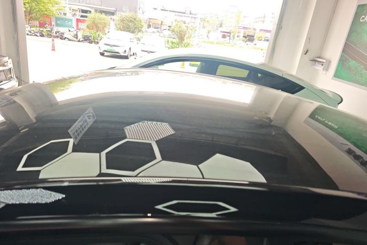 Used Tesla Model Y 2021 Standard Range Rear-Wheel Drive Version Roof