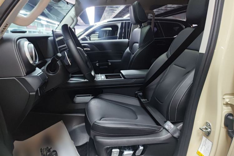 Used Tank 300 2025 2.0T Conqueror