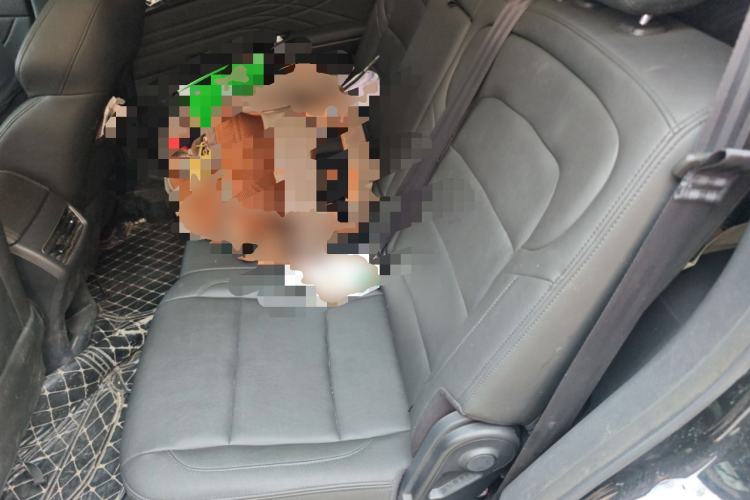 Used Sinotruk VGV U70 2020 1.5T Automatic Smart Enjoyment Elite Version 7 Seats Left Rear Seat