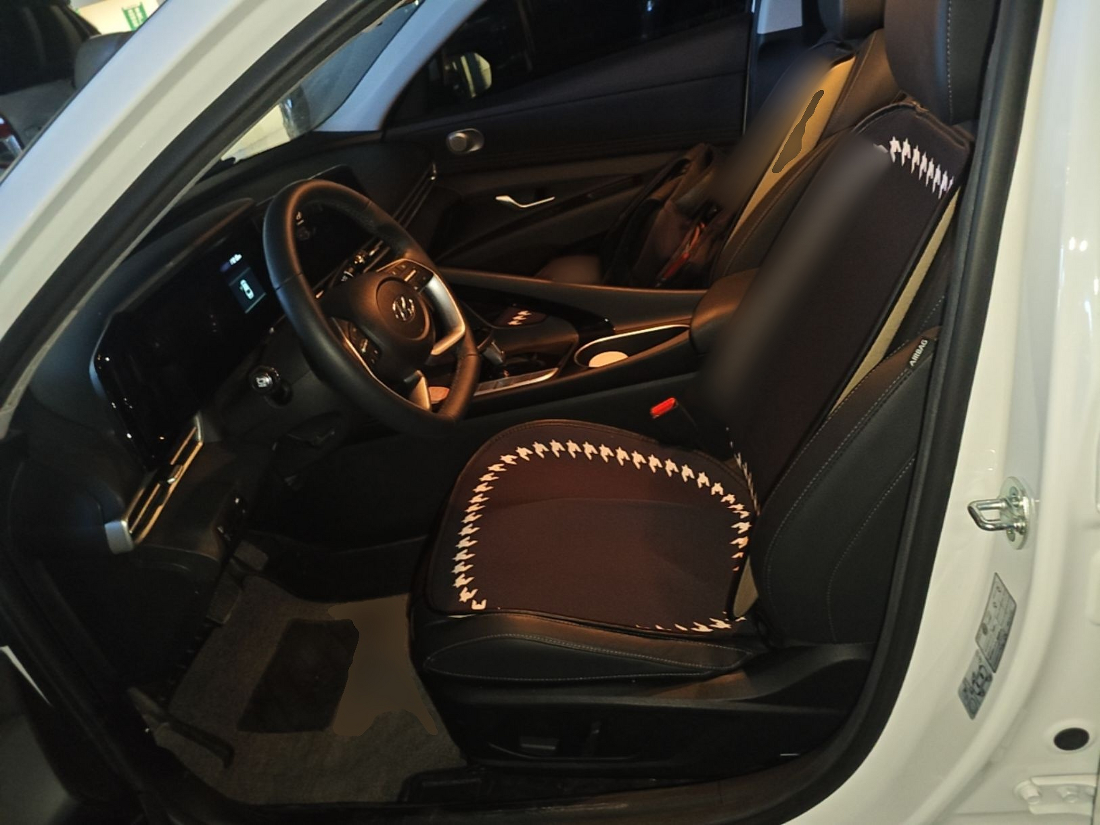 Interior delantero