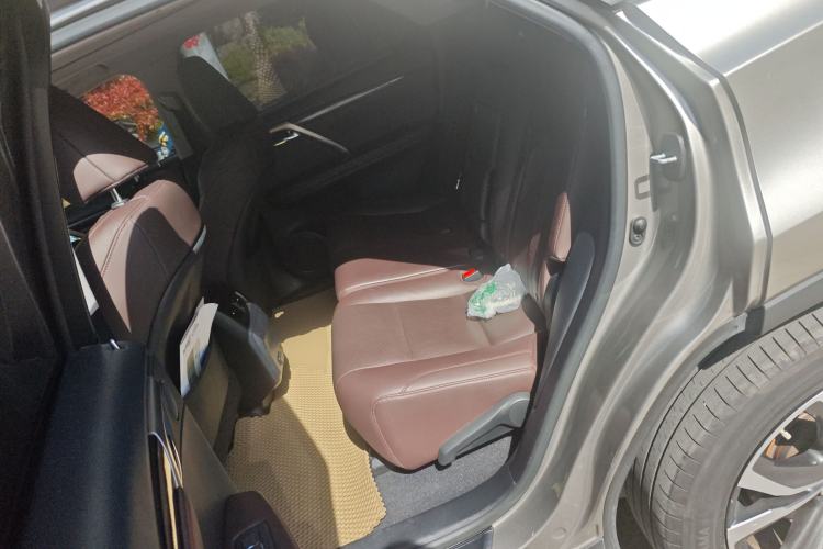 Used Lexus RX 2020 300 4x4 Elegant Edition China VI