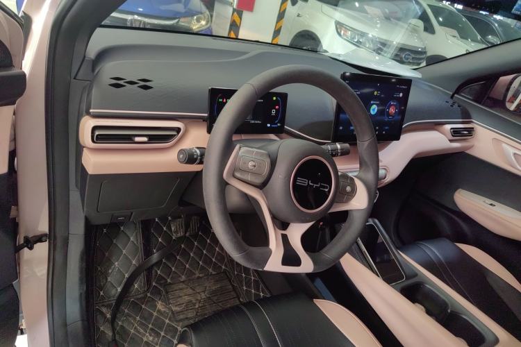 Used BYD Seagull 2023 Active Version Center Console