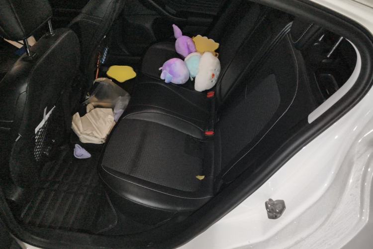 Used Ford Focus 2019 Hatchback EcoBoost 180 Automatic Trendy Model