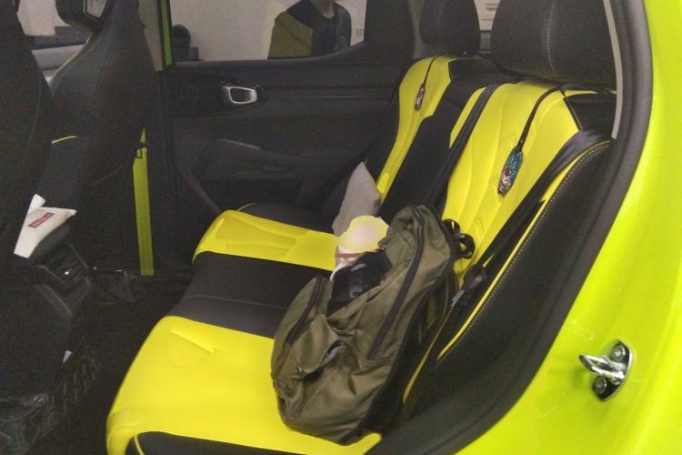 Used Haval X DOG 2022 1.5T DCT Two-Wheel Drive Trendy Edition Left Rear Seat