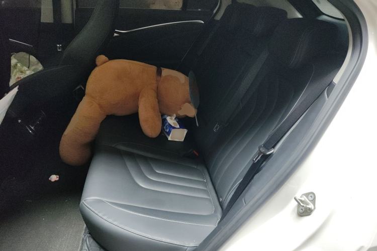 Used NETA U 2021 Pro 500 Lunar Edition Left Rear Seat